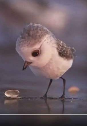 Tráiler presentación de PIPER